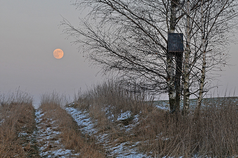 Wintervollmond