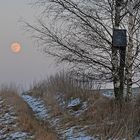 Wintervollmond