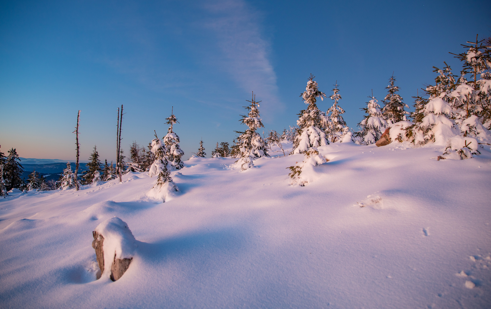 Winter(vor)freude