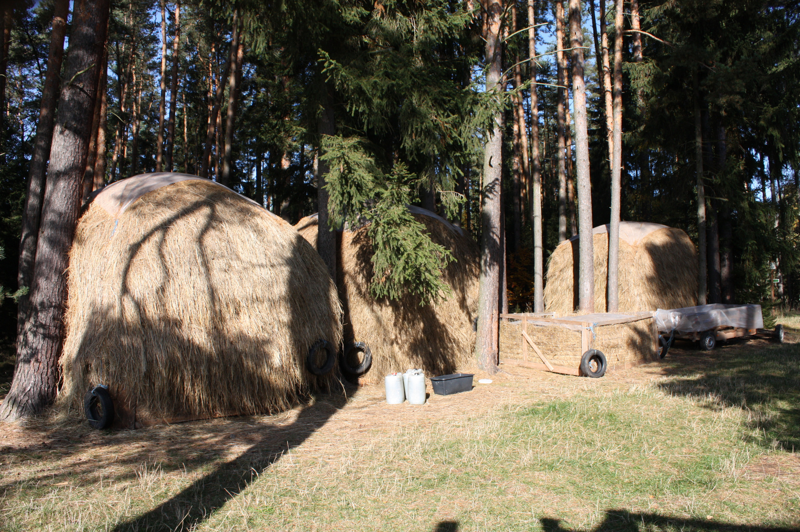 Wintervorräte für die Wildfütterung sind ausreichend da