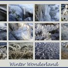Winterw Wunderland