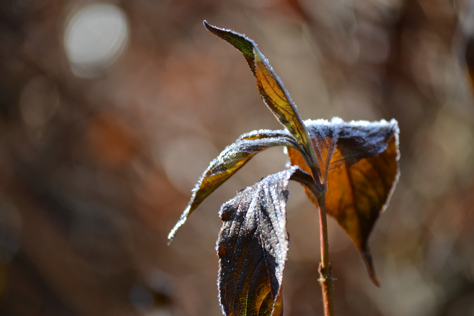 Winterwärme 