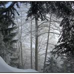 Winterwald