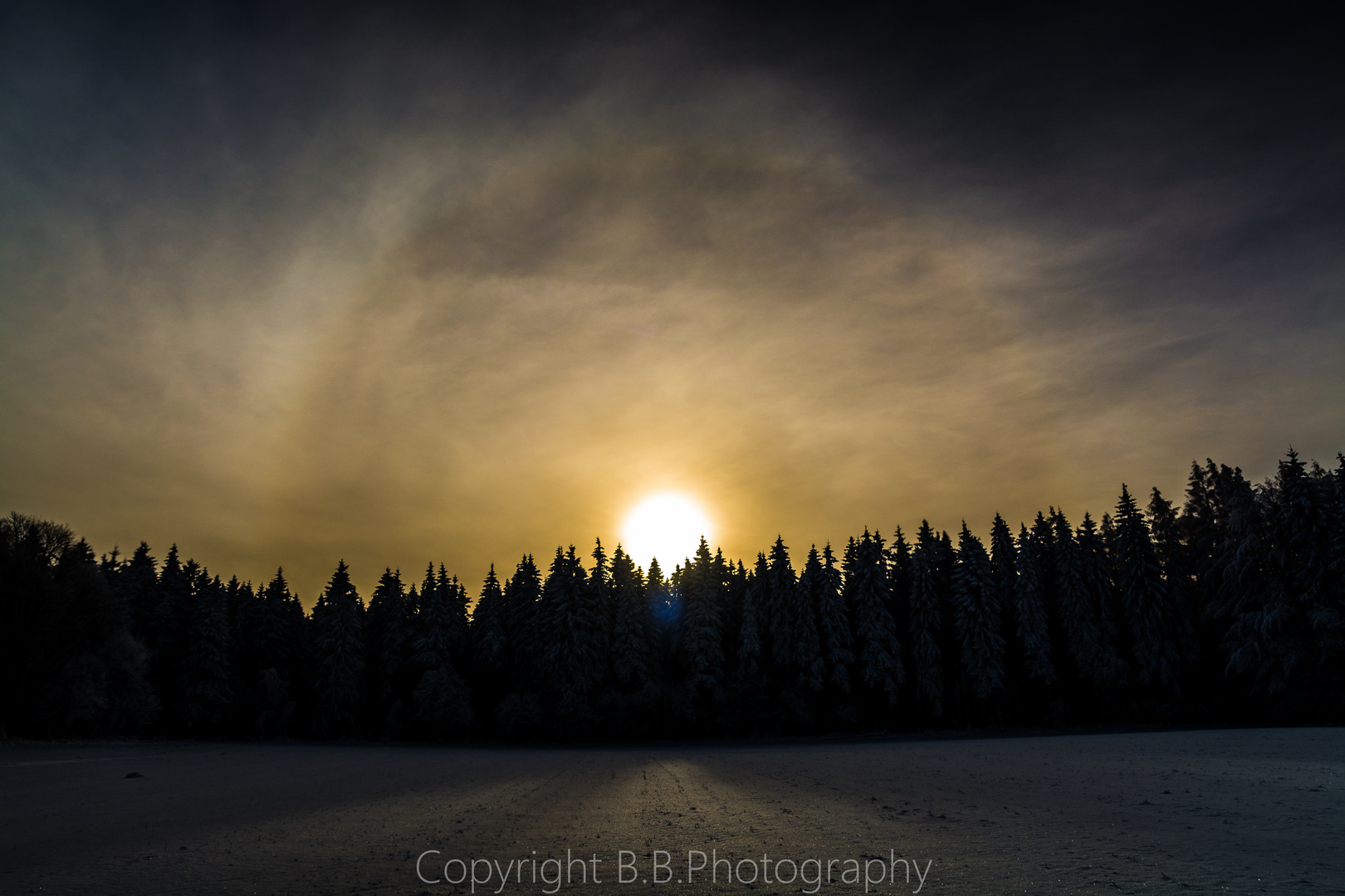 Winterwald