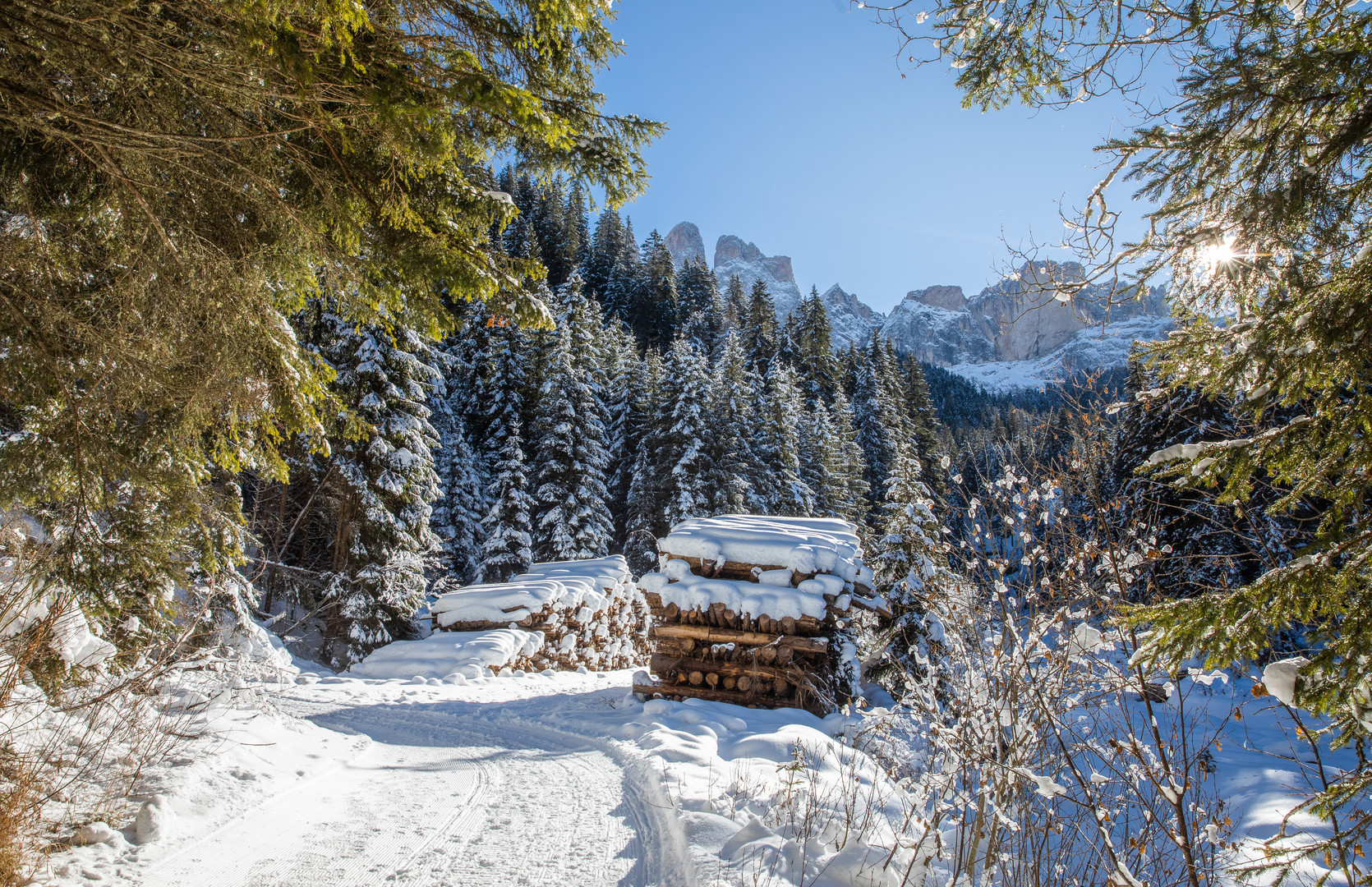 Winterwald