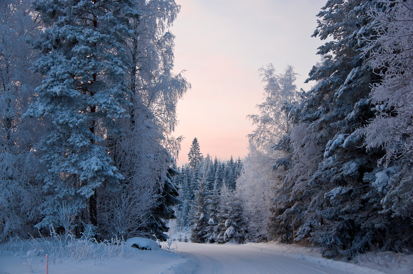 Winterwald