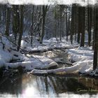 Winterwald