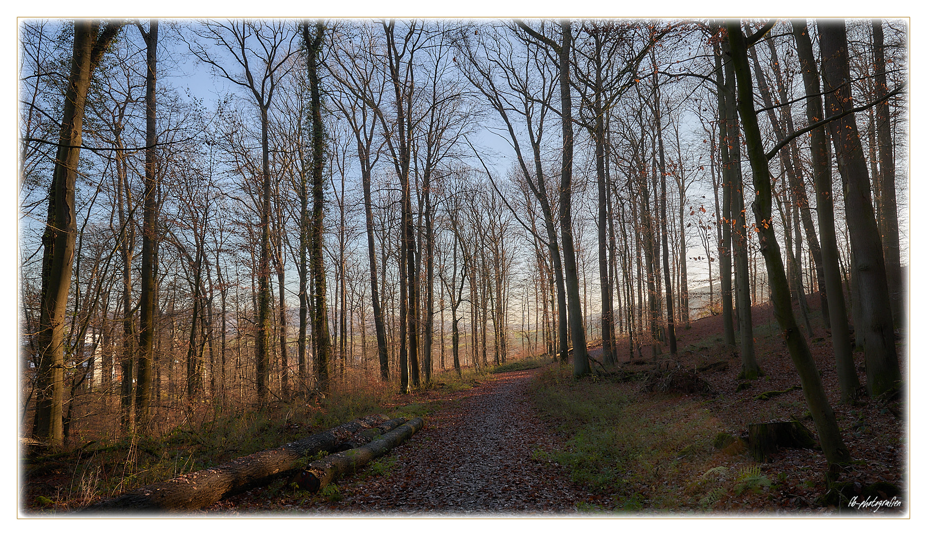 Winterwald