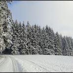 Winterwald 1