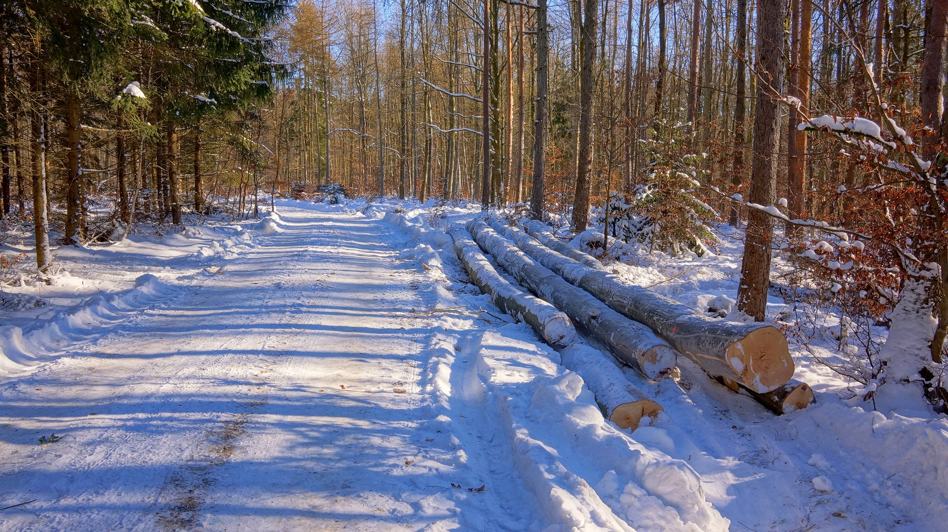 Winterwald, 1 (bosque invernal, 1)