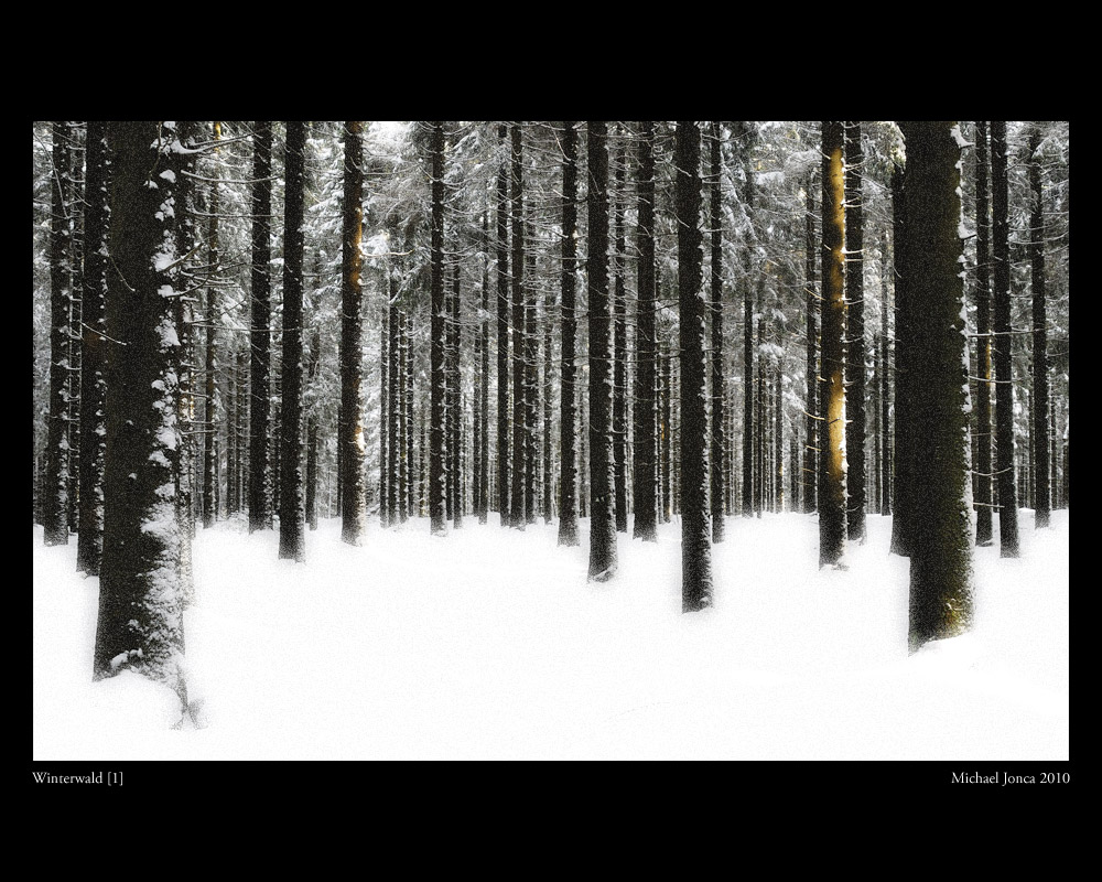 Winterwald [1]