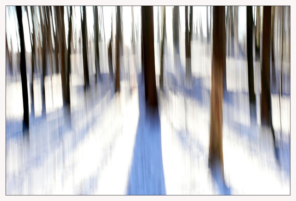 Winterwald 1