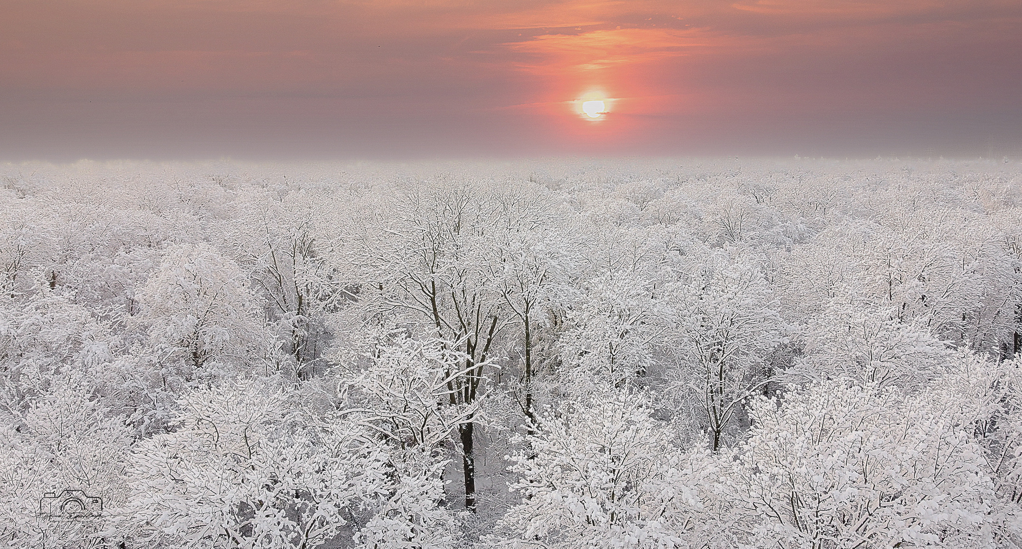 Winterwald