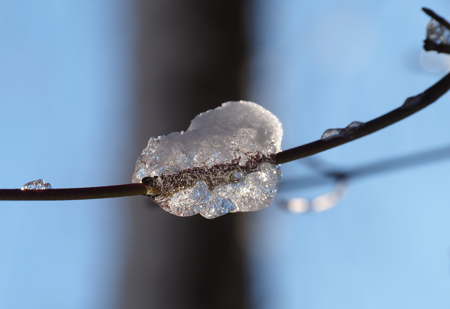 Winterwald