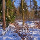 Winterwald, 2 (bosque invernal, 2)