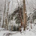 Winterwald