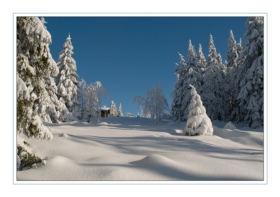 WINTERWALD