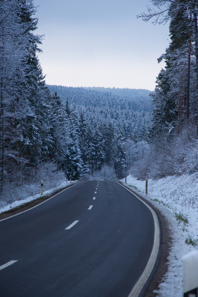 Winterwald