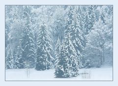 Winterwald