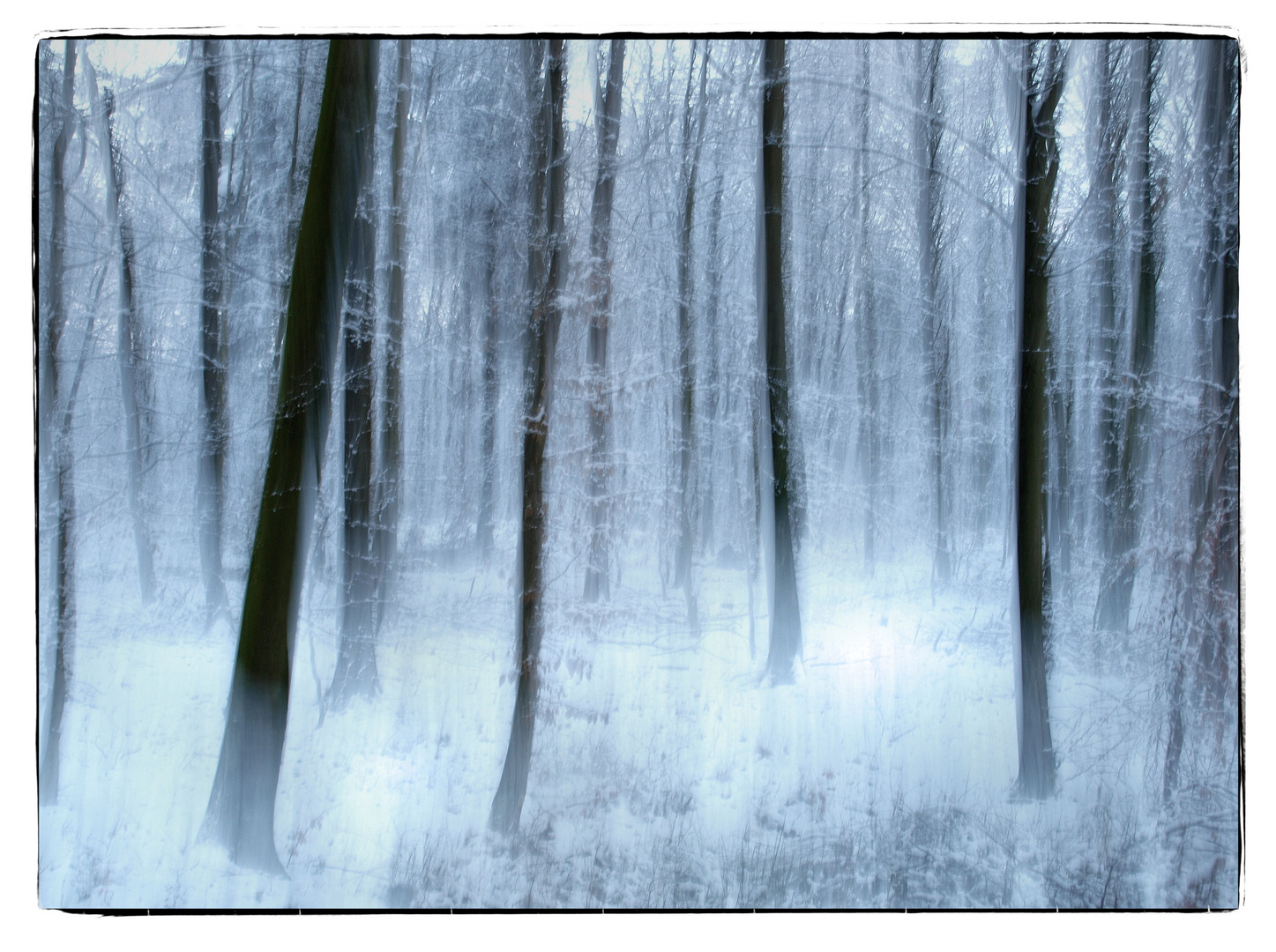 Winterwald