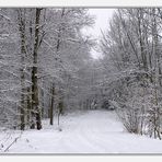 Winterwald