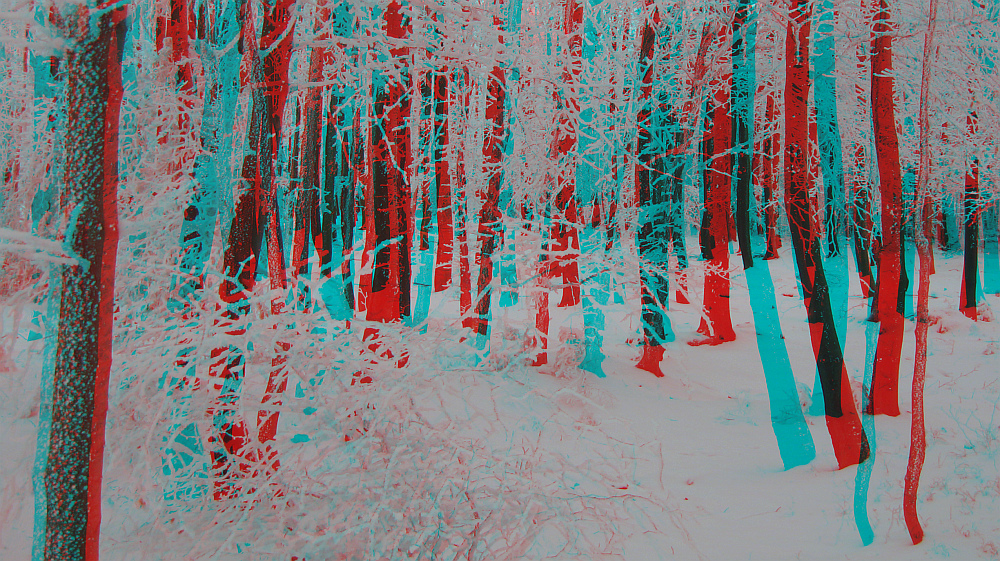 Winterwald (3D-Bildmit Rot/Cyan-Brille betrachten)