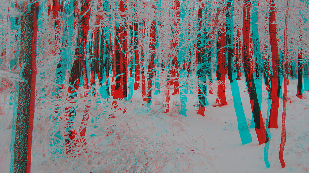 Winterwald (3DBildmit Rot/CyanBrille betrachten) Foto &amp; Bild