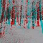 Winterwald (3D-Bildmit Rot/Cyan-Brille betrachten)