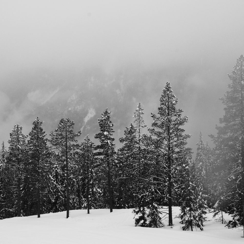 Winterwald von matthias7 