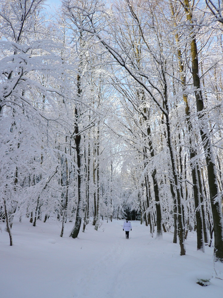 " WINTERWALD"