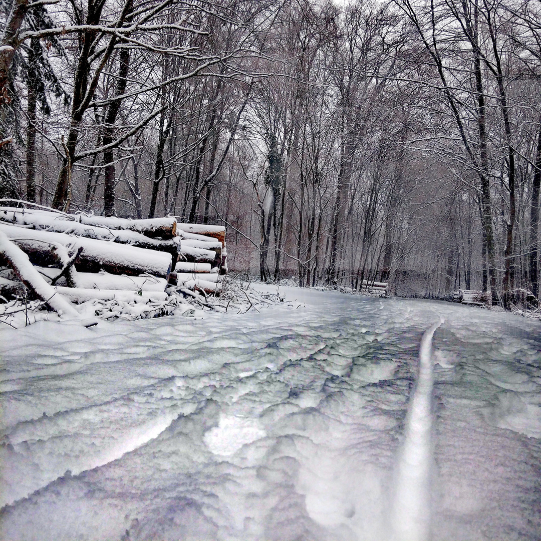 Winterwald