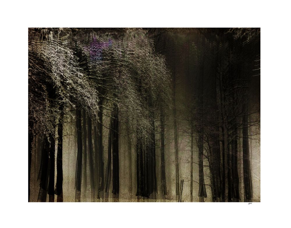 - winterwald -