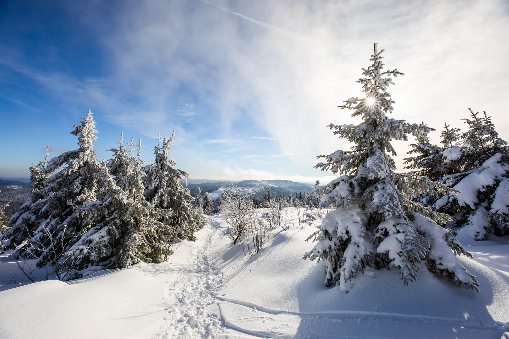 Winterwald