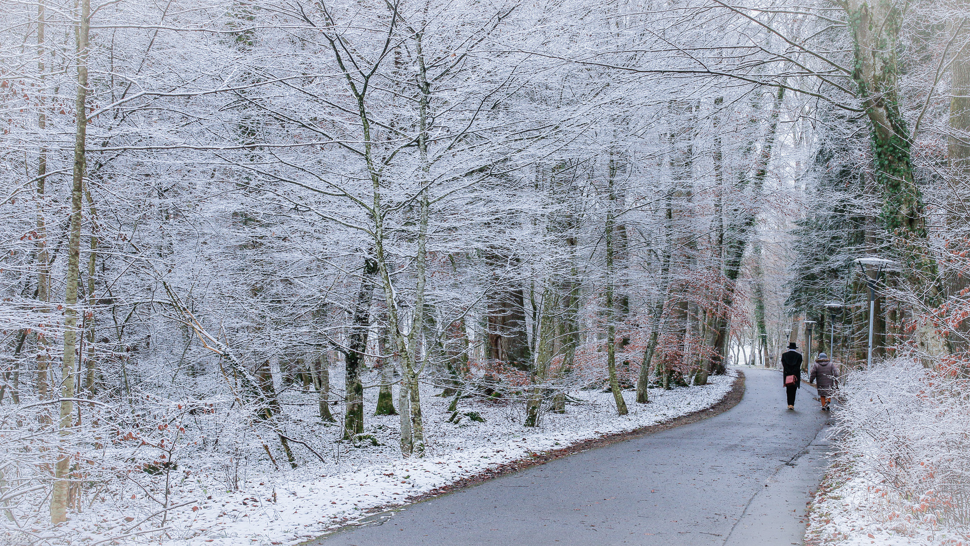 Winterwald