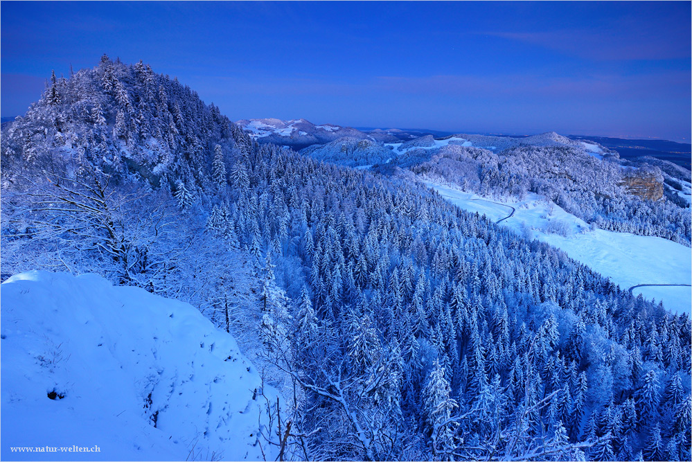 Winterwald