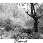 Winterwald