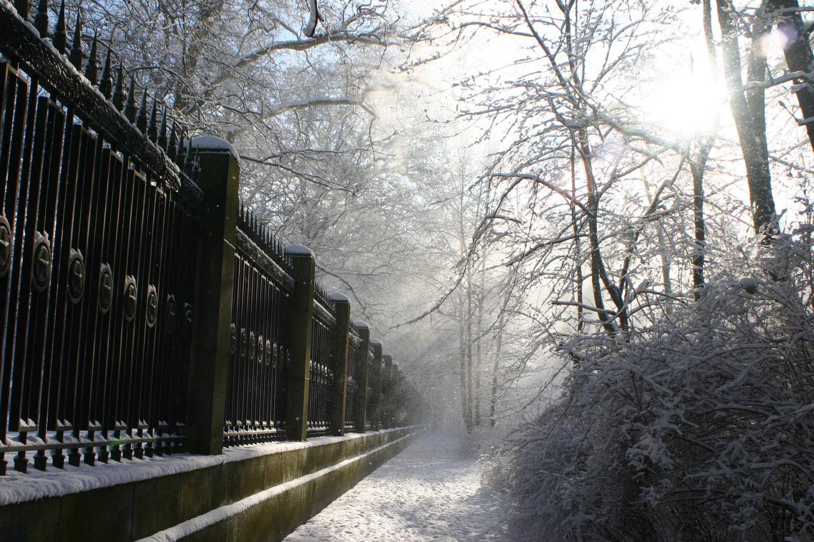 Winterwald