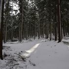 winterwald