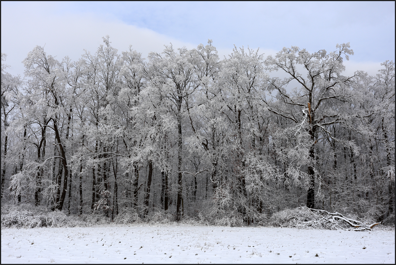 Winterwald Foto & Bild  deutschland, europe, thüringen Bilder auf 