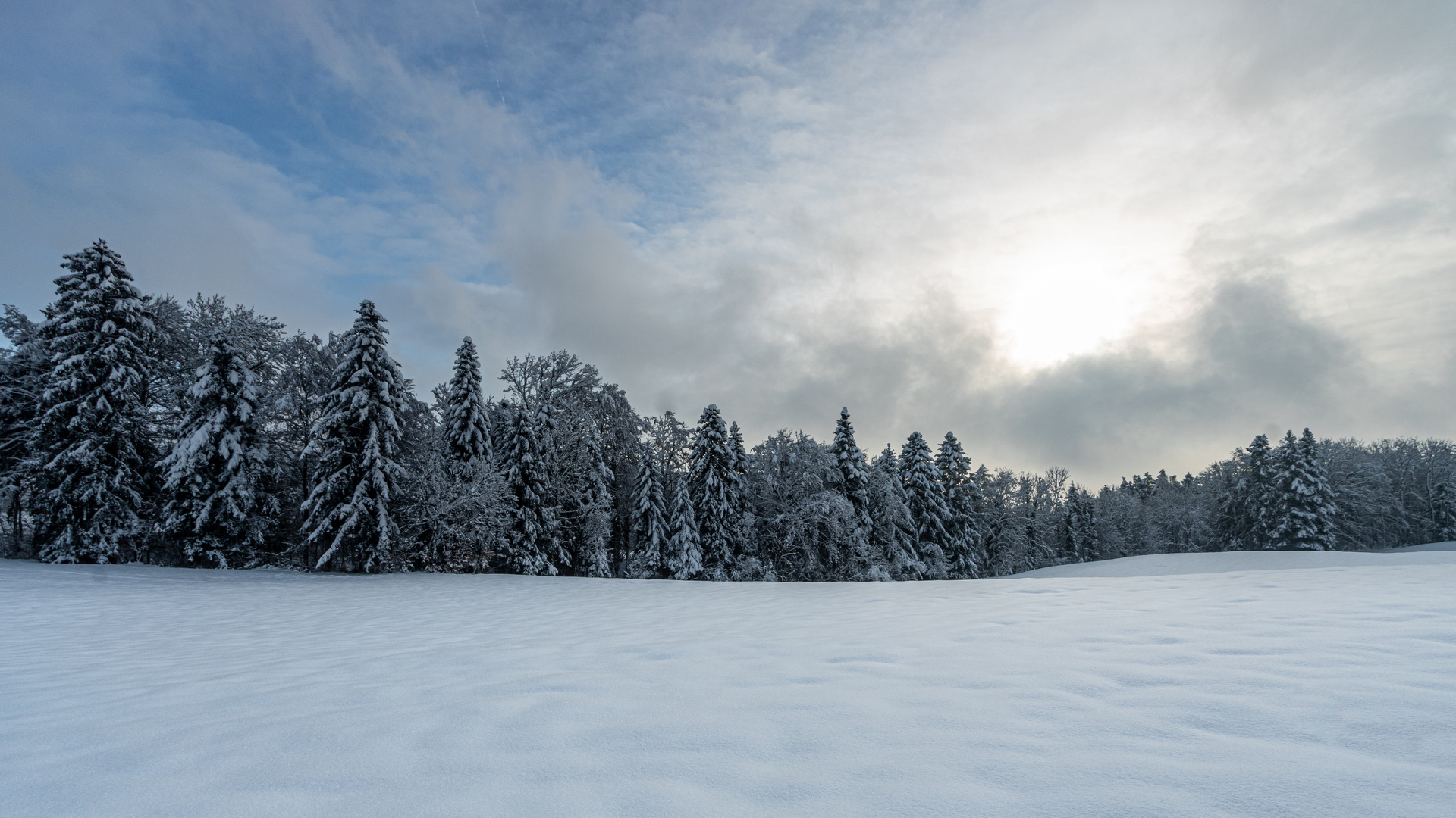 winterwald