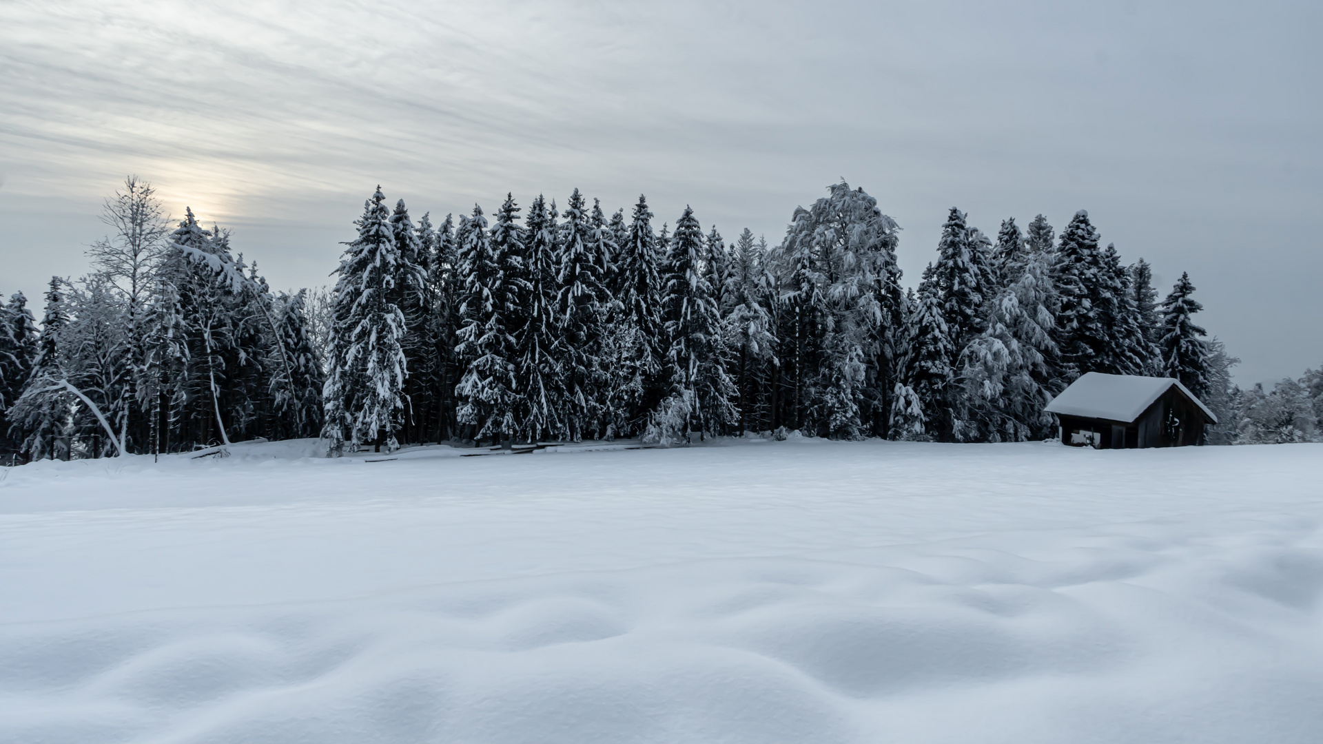 winterwald