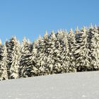 Winterwald