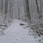 Winterwald