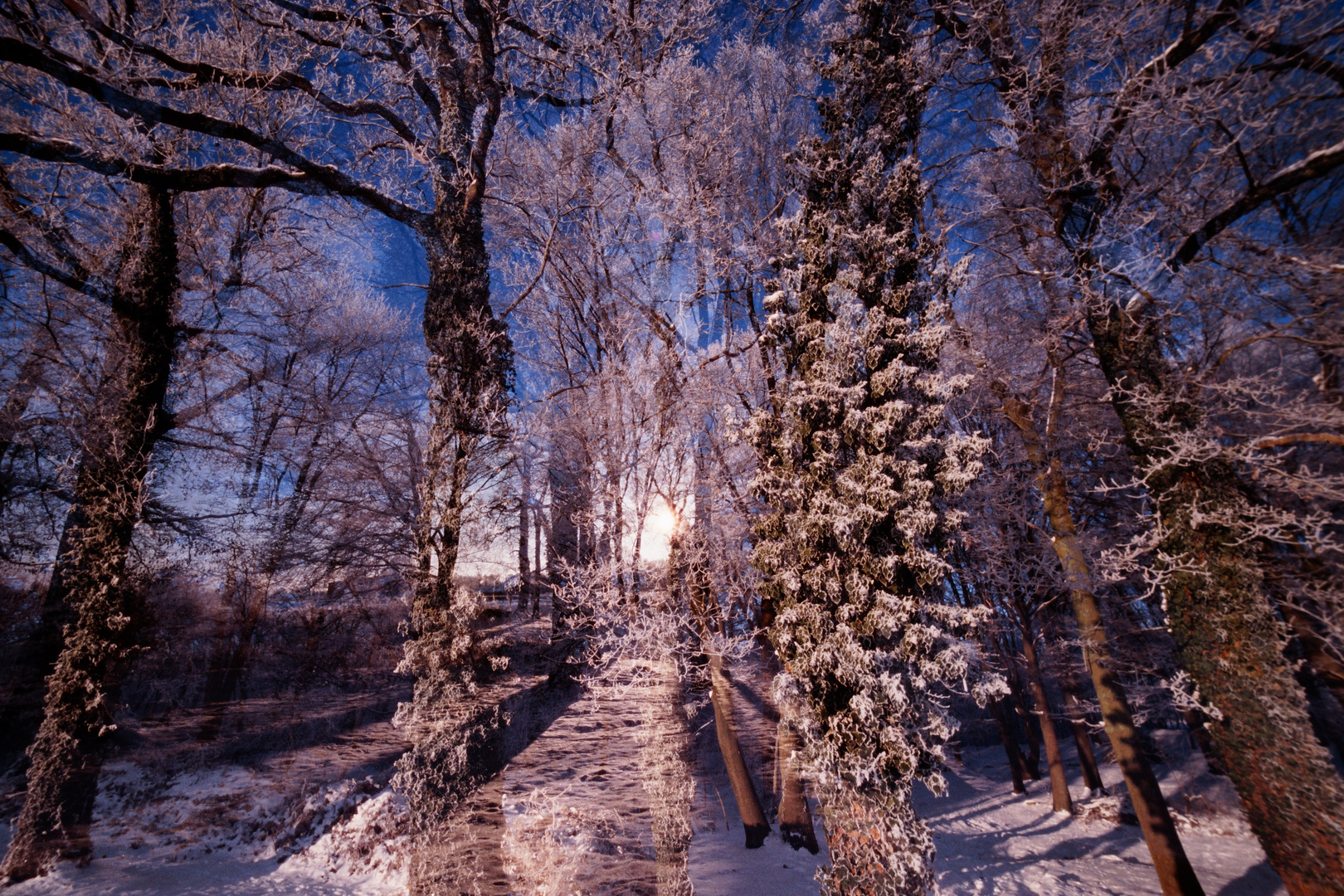 WinterWald