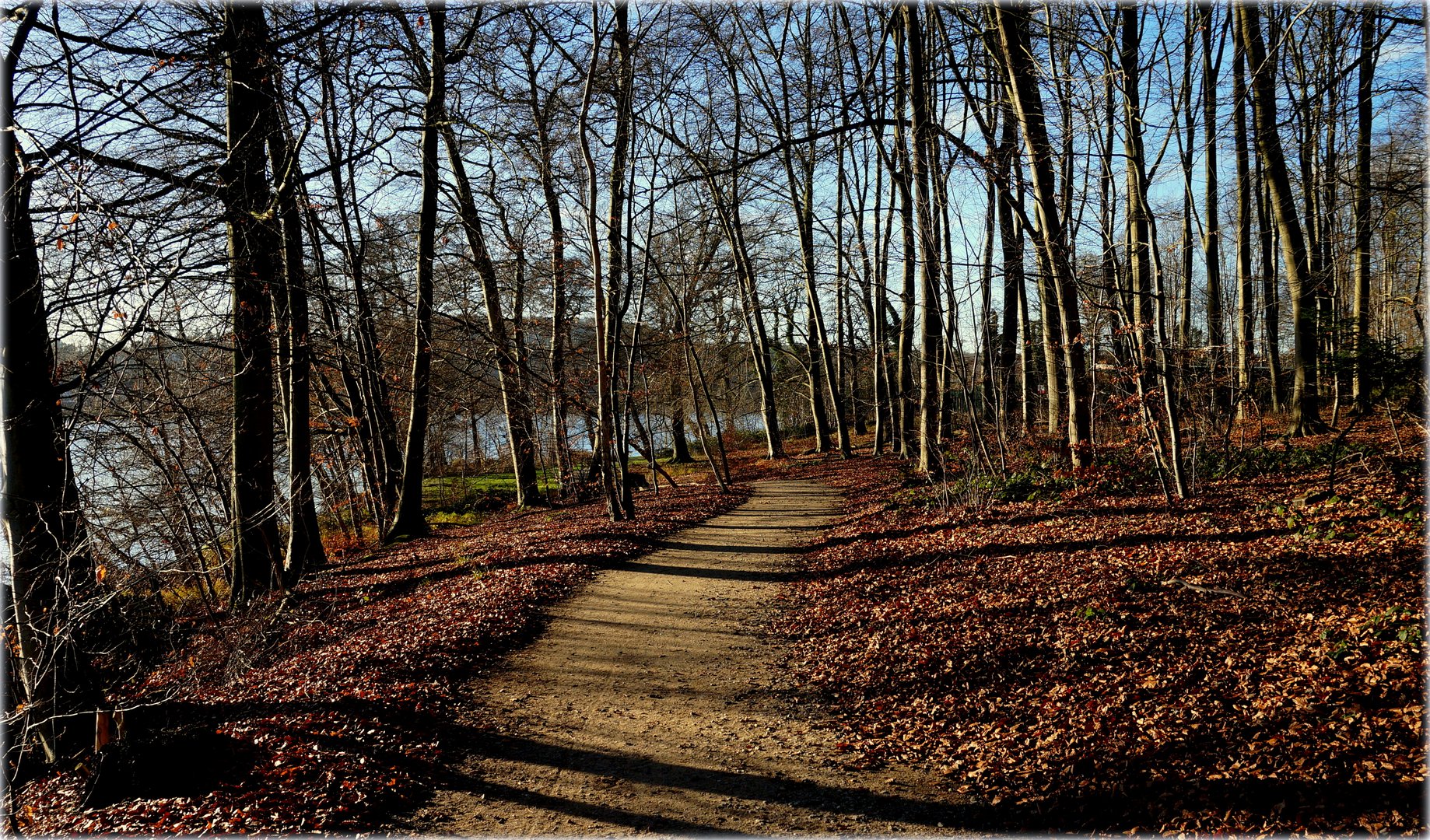 Winterwald