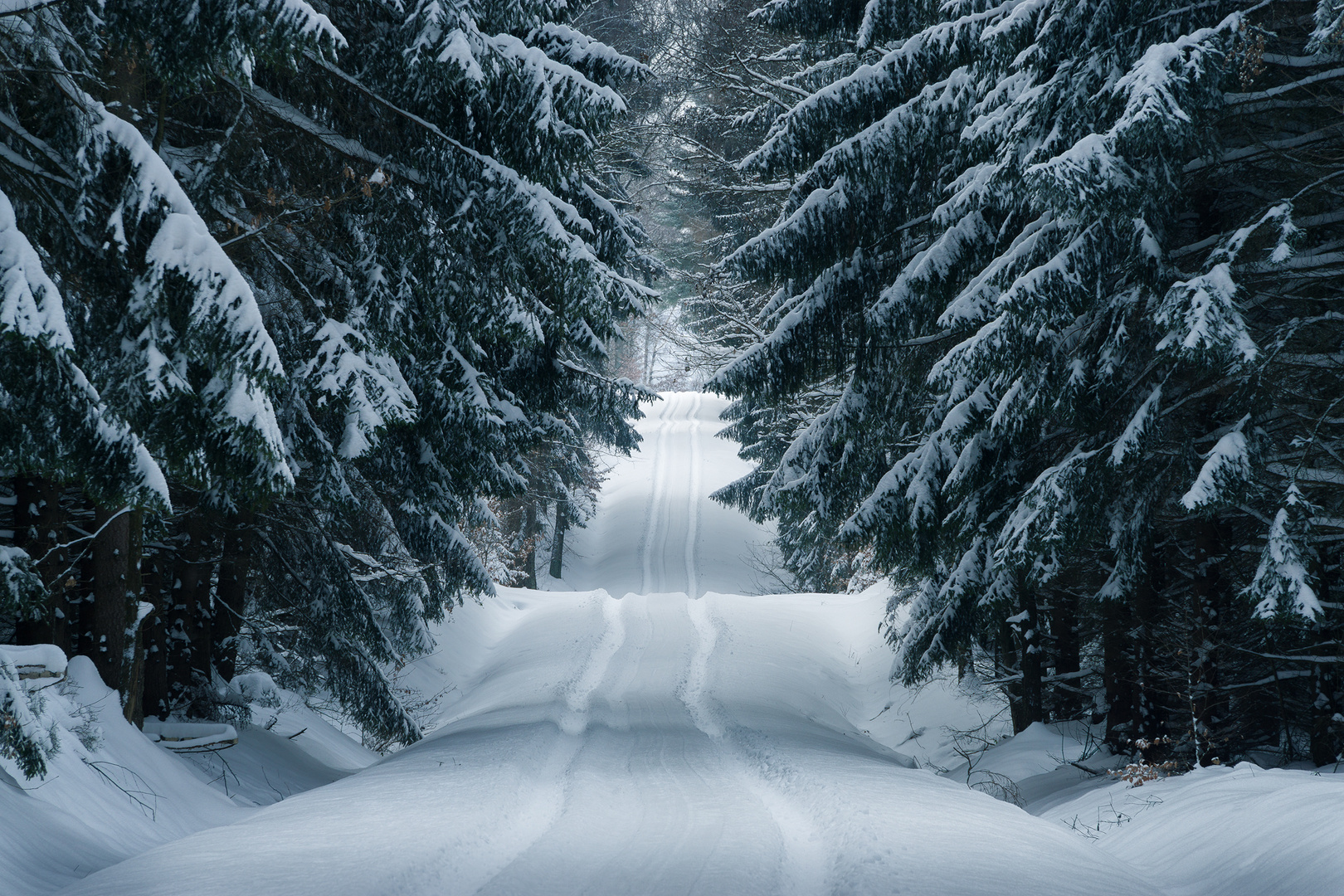 Winterwald Foto & Bild landschaft, wald, fotos Bilder auf