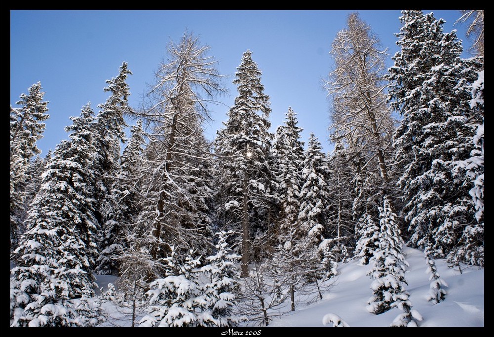 winterwald