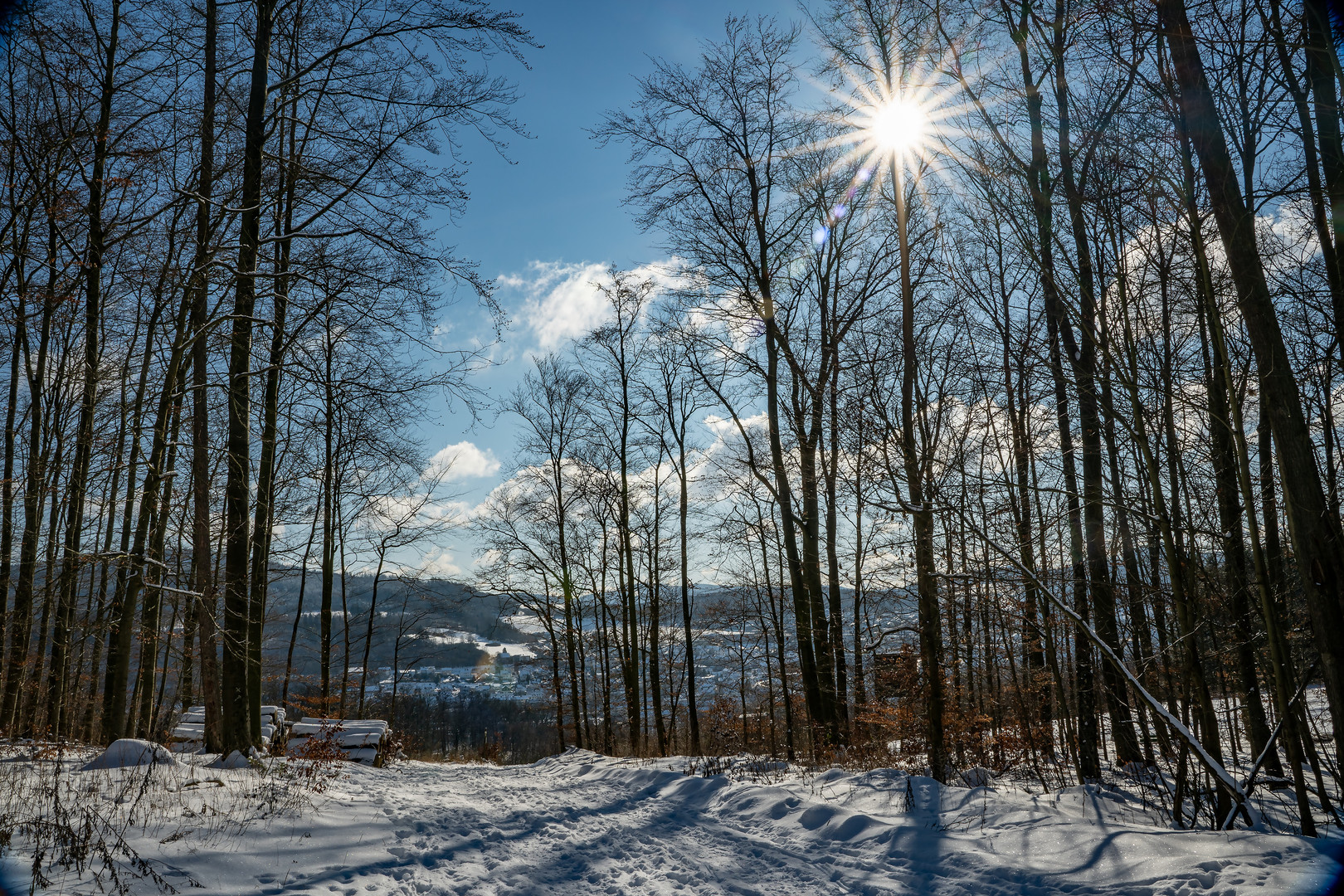 Winterwald