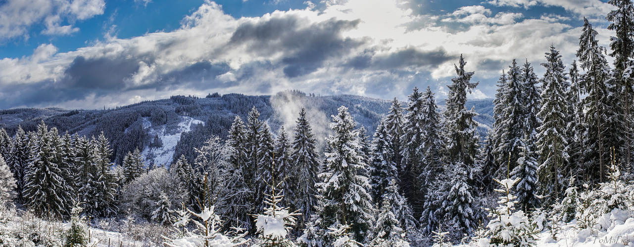 Winterwald Foto & Bild  jahreszeiten, winter, wald Bilder auf 