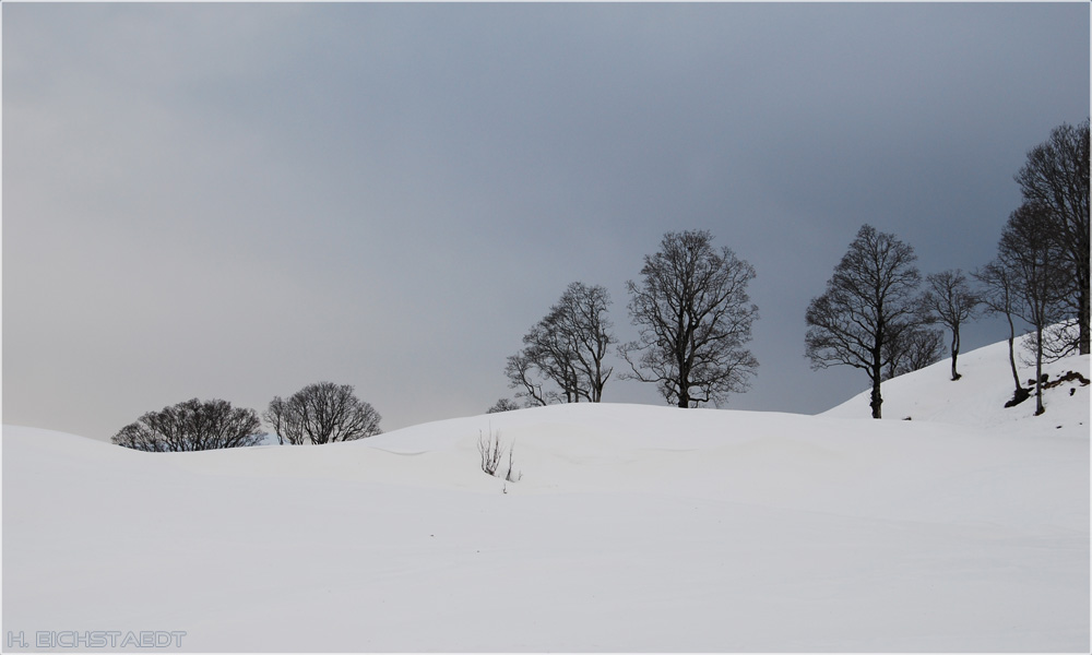 Winterwald